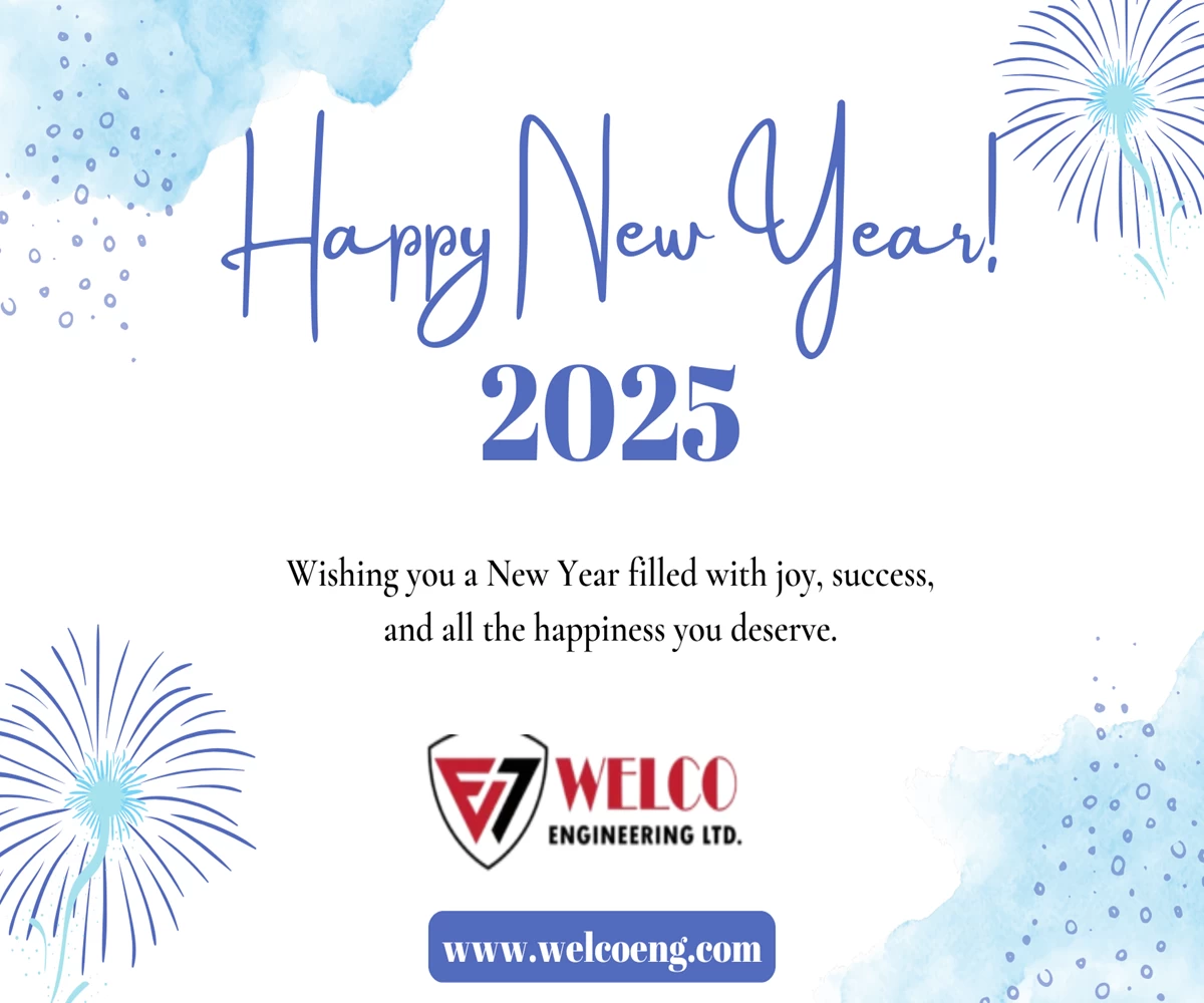 New Year Celebration 2025