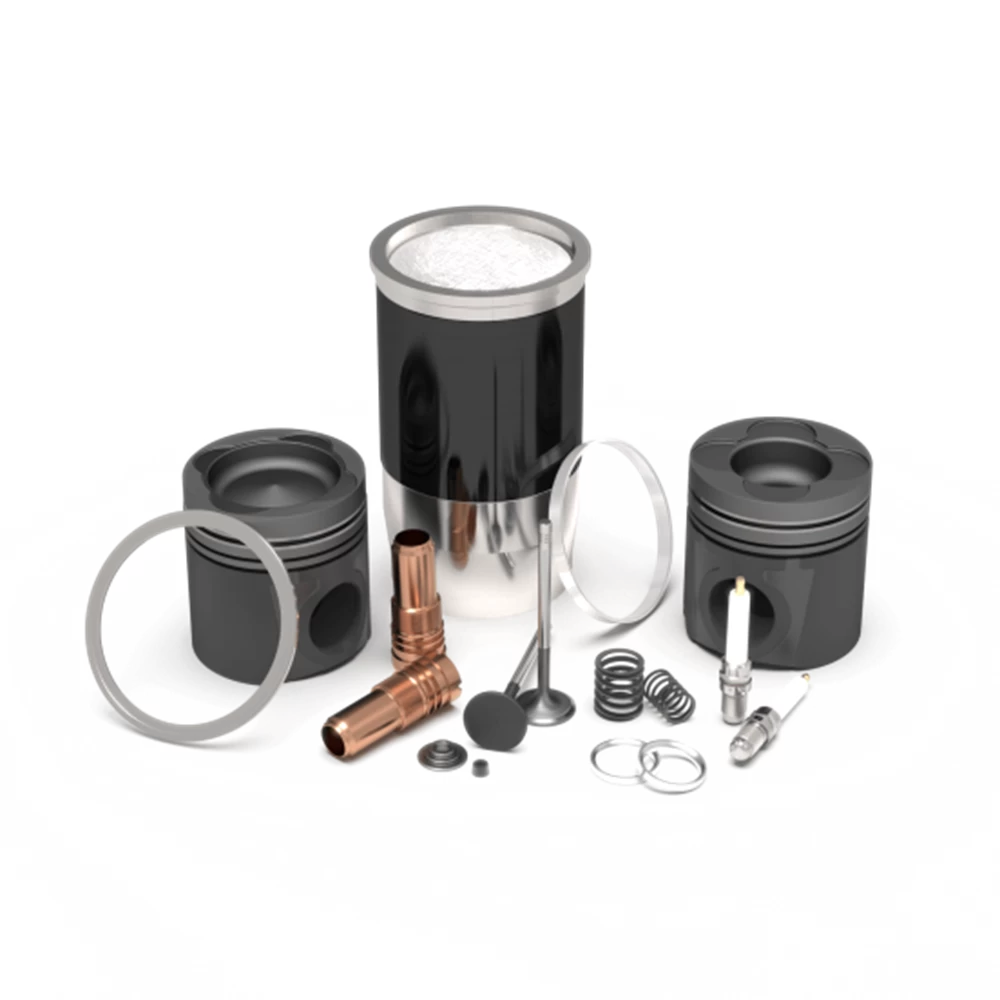 Maintenance Parts Suitable For MWM<sup>®</sup> TCG 2020